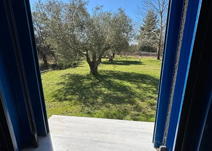 Mikri Elia Daire Lagomandra